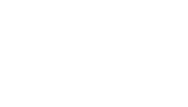 VIRTUS